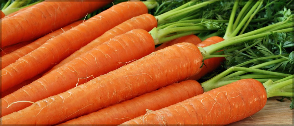 La buona abitudine di mangiare carote