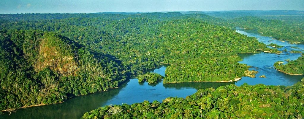 floresta-amazonica-brasil