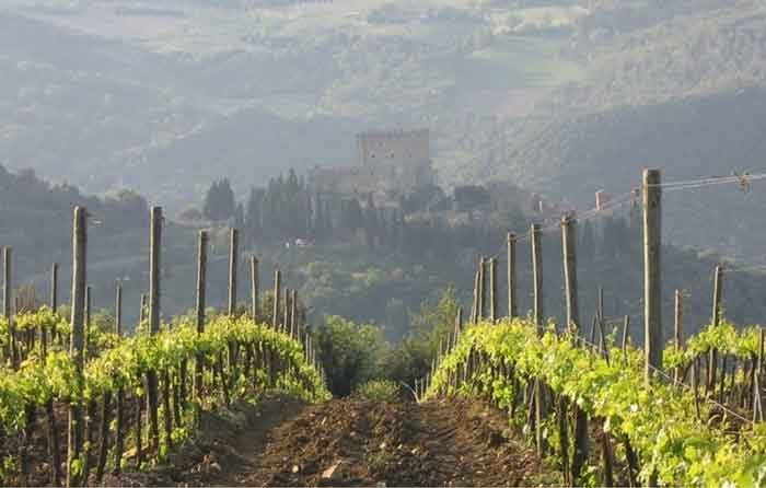 Nobile di Montepulciano, vino ad emissioni zero